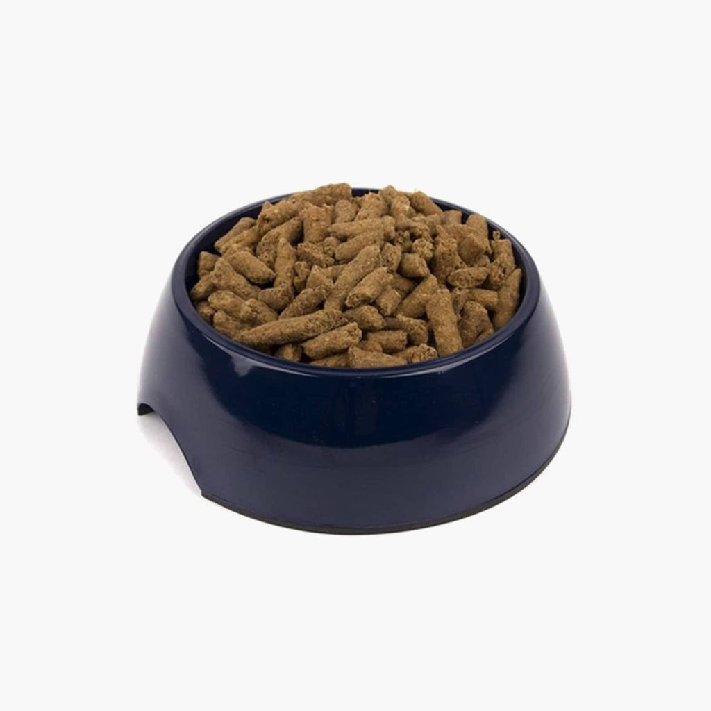 Melamine Dog Bowl - Navy Blue | Durable & Stylish Pet Dish
