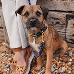 Navy Blue Rope Dog Lead, 5ft Long The Stately Hound