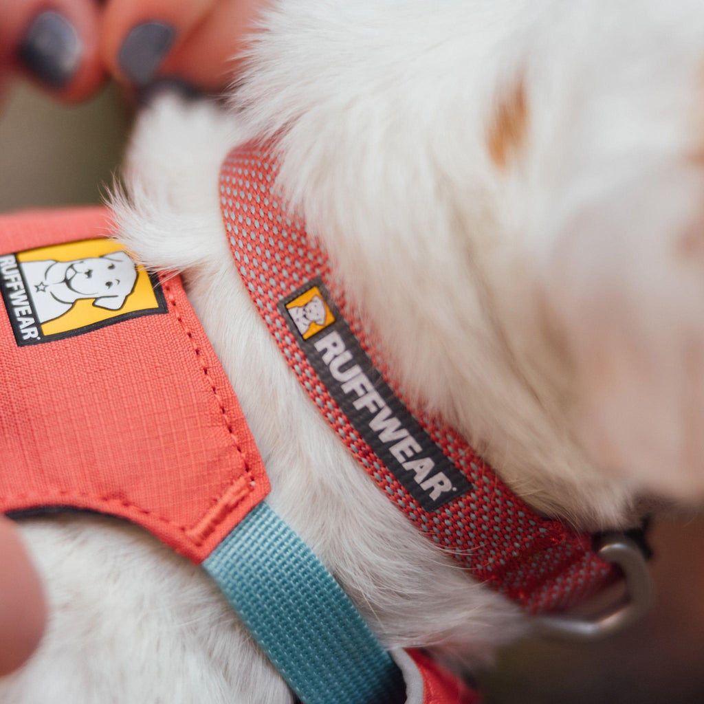 Ruffwear Hi & Light Salmon Pink Dog Collar – Ultralight & Durable for Active Dogs