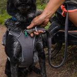 Ruffwear Roamer Running Lead – Adjustable, Stretch-Webbing for Active Dogs The Stately Hound
