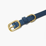 Sapphire Blue Leather Dog Collar & Lead Set with Gold Hardware The Stately Hound